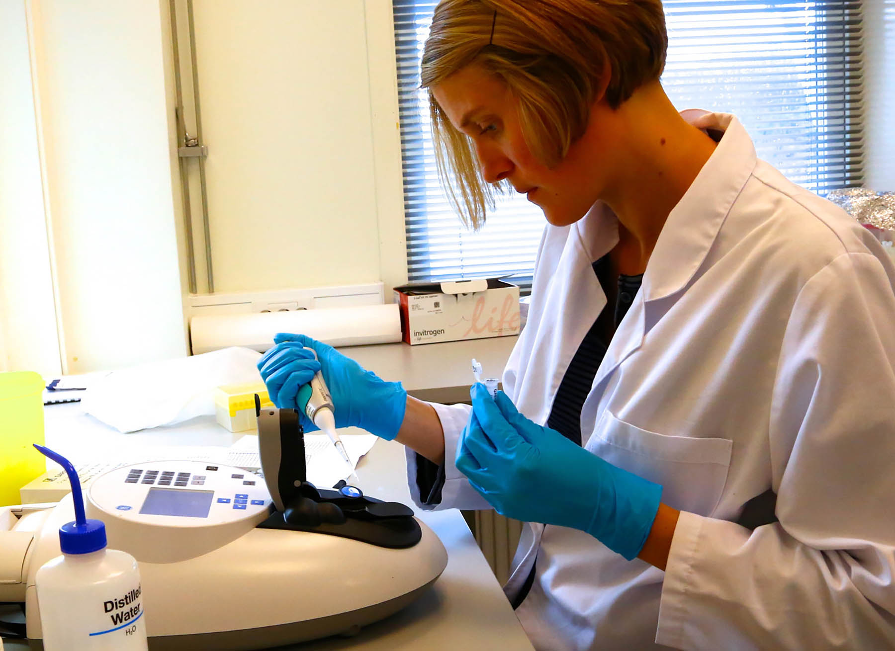 Forsker Marte Sodeland ved forskningsstasjonen Flødevigen tar DNA-prøver fra torsk. Foto: Espen Bierud/HI
